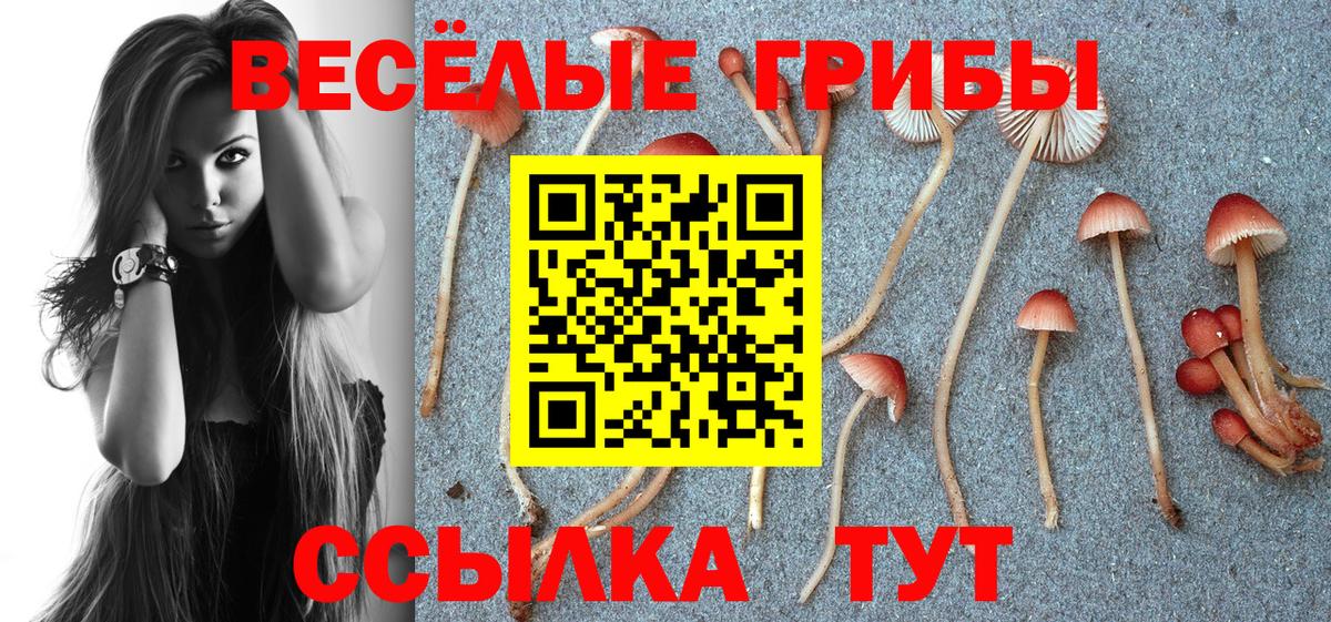 Псилоцибиновые грибы ЛСД  Вход с VPN  Фрязино 